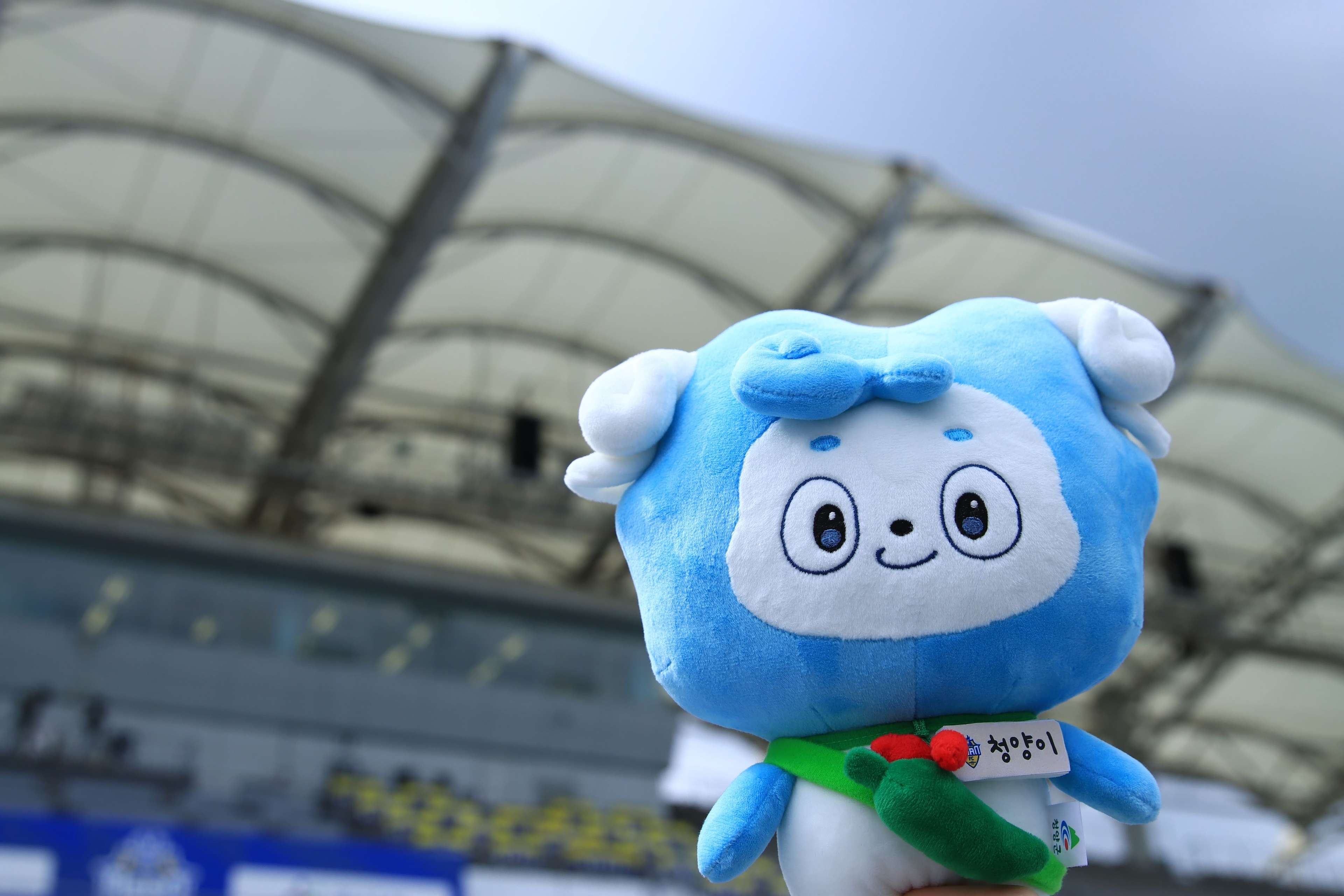 아산 청양군 대표